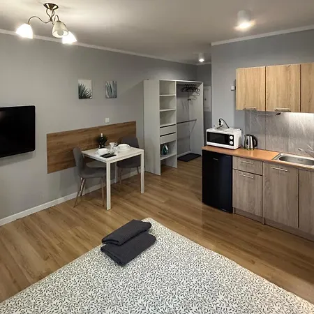 Holdek Ceglana Apartment *